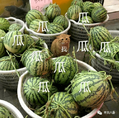 出轨又涉毒！会不会重现“胜利夜店”风暴的大瓜盛景，拔出萝卜带出N多泥？(图93)