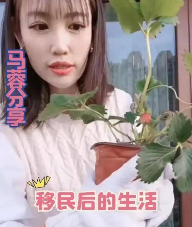 马蓉虽获得了丰厚的财产,却也付出了巨大的代价失去了家庭、名声和社会地位(图3) 马蓉虽获得了丰厚的财产,却也付出了巨大的代价失去了家庭、名声和社会地位(图3)