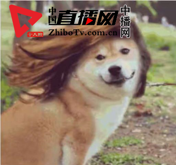 有的艺人活成了高仿号，有的却成了老年网络玩家(图14)