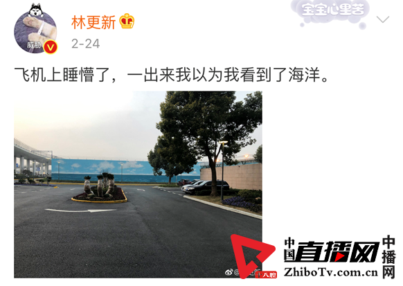 有的艺人活成了高仿号，有的却成了老年网络玩家(图15)
