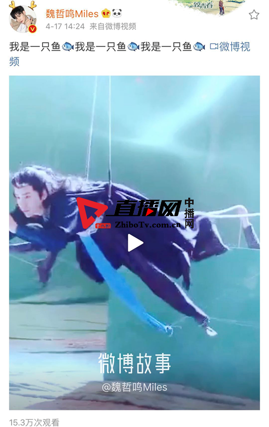 山东宝藏男孩魏哲鸣的另类人生 多才多艺快来抱走(图17)